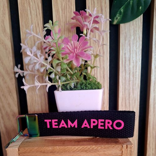 Porte clef "team apero"