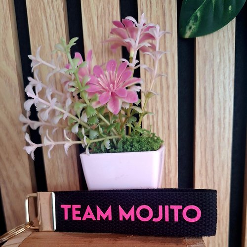 Porte clef "team mojito"