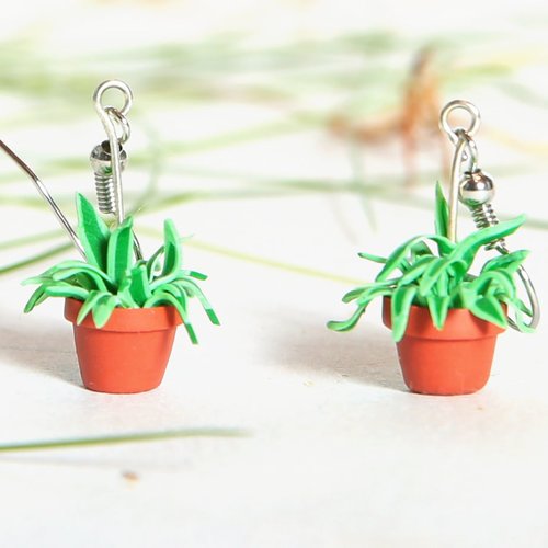 Chlorophytum, plante verte en pot  - boucles d'oreilles pendantes