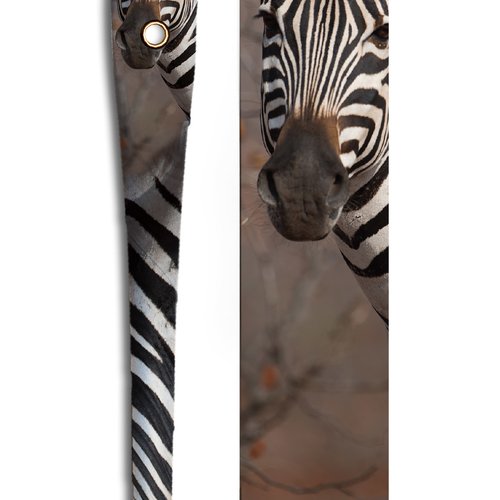 Zebre