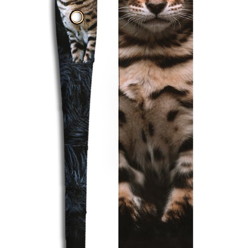 Bengal
