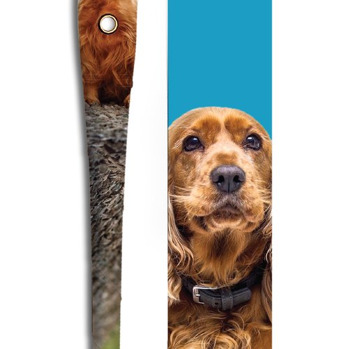 Cocker