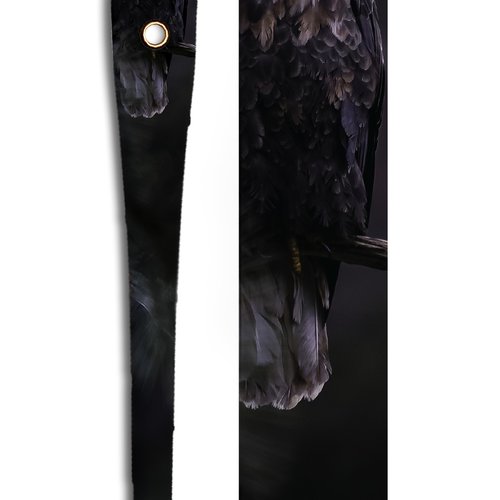 Aigle