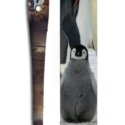 Pinguoin