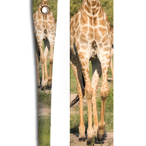 Girafe