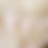 Guirlande de fanions - collection hortense - taille 1