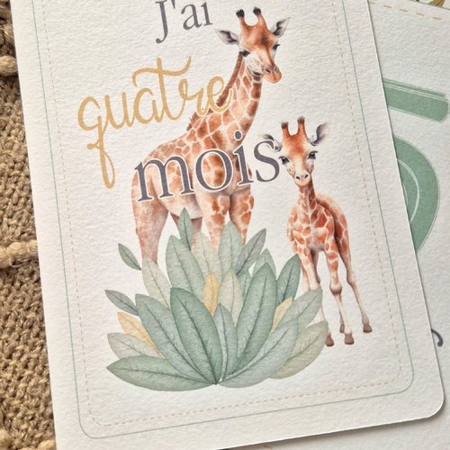 Cartes étapes 0 - 12 mois - ma première année - thème savane - naissance