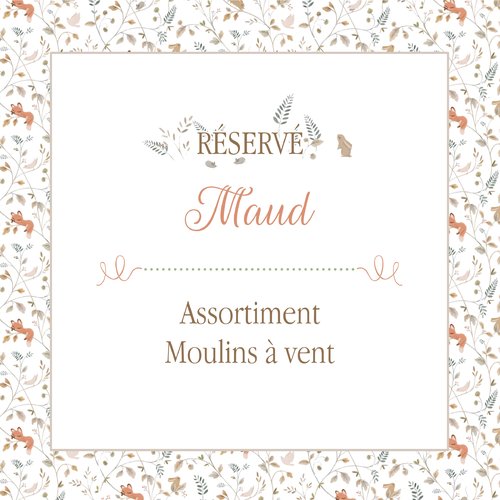 Assortiment de moulins à vent - réservé maud