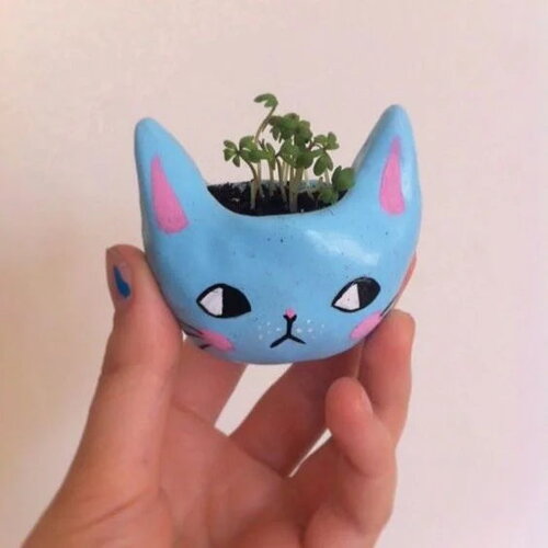 Vase chat