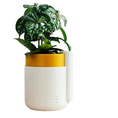 Jardinière auto-arrosante (petite)