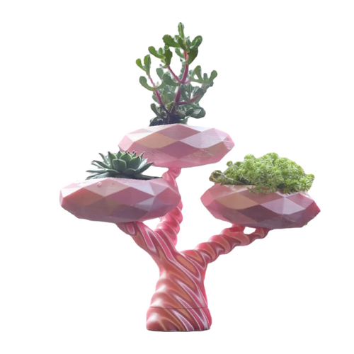 Jardinière : bonsai