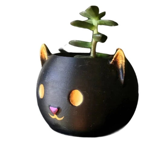 Jardinière: chat