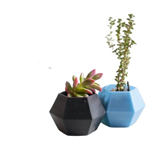 Élégance géométrique: jardinière hexagonale