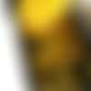 Boîte organisatrice dewalt pro - compartiments ajustables