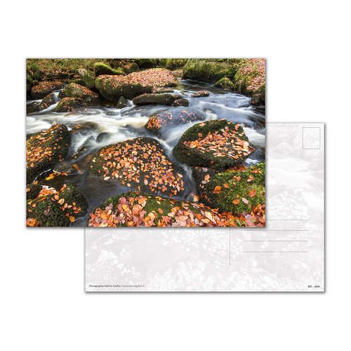 Carte postale a5 - la rivière d'argent, huelgoat