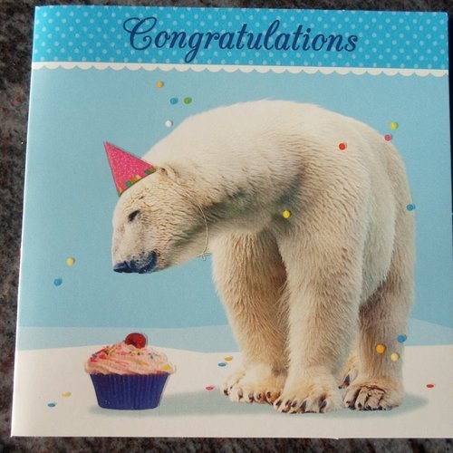 Carte  de voeux double "congratulations" ours polaire et gateau