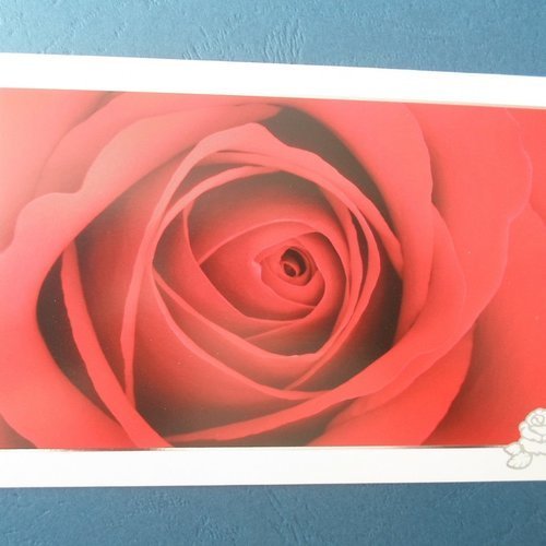 Carte  de voeux double rose rouge