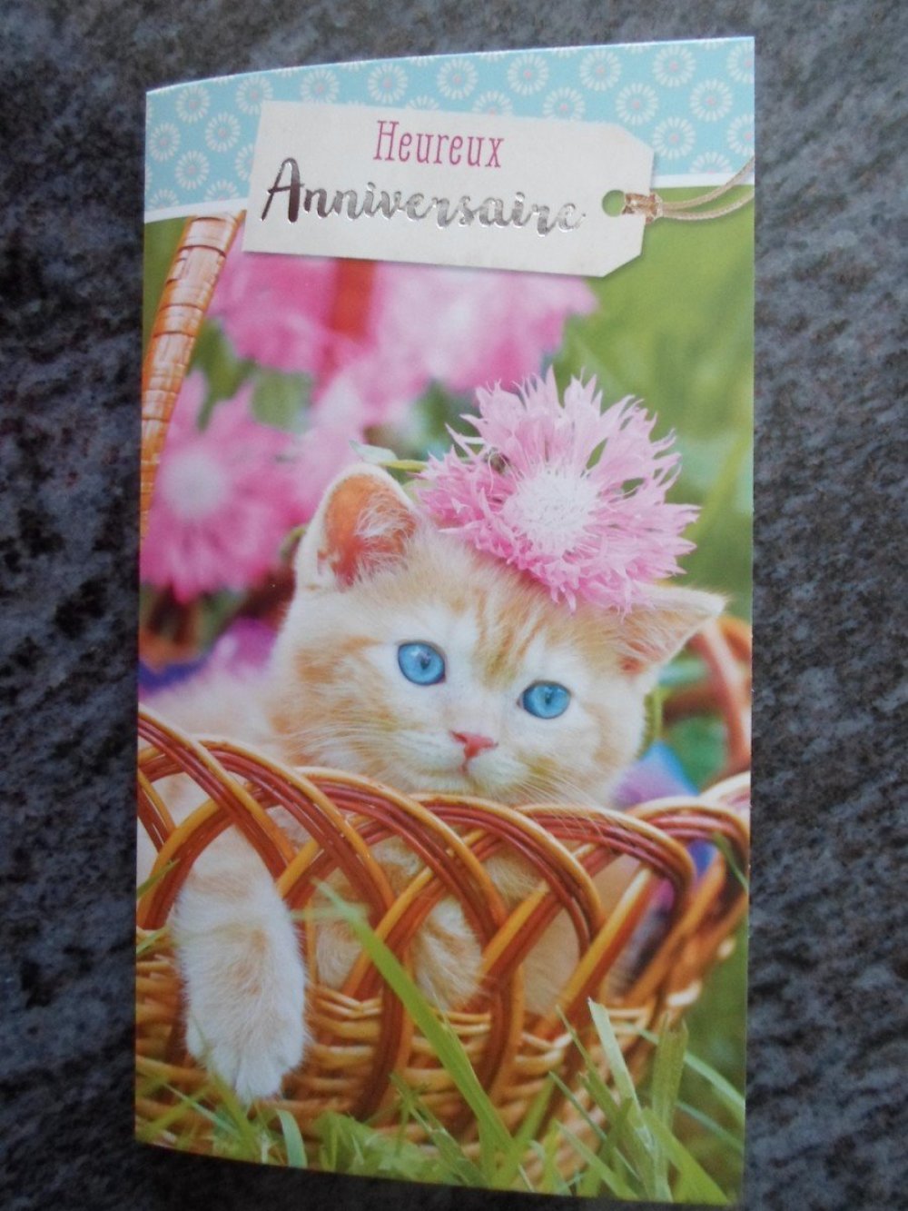 Carte De Voeux Double Heureux Anniversaire Chat Chaton Un Grand Marche