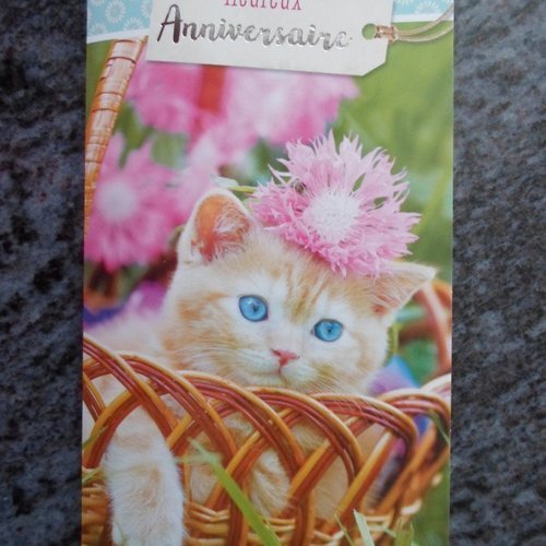 Carte De Voeux Double Heureux Anniversaire Chat Chaton Un Grand Marche