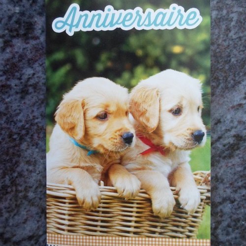 Carte  de voeux double heureux anniversaire chiots chiens