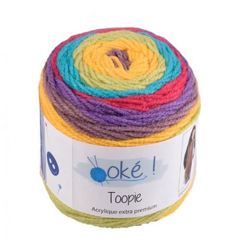 Pelote a tricoter toopie oke coloris multicolore