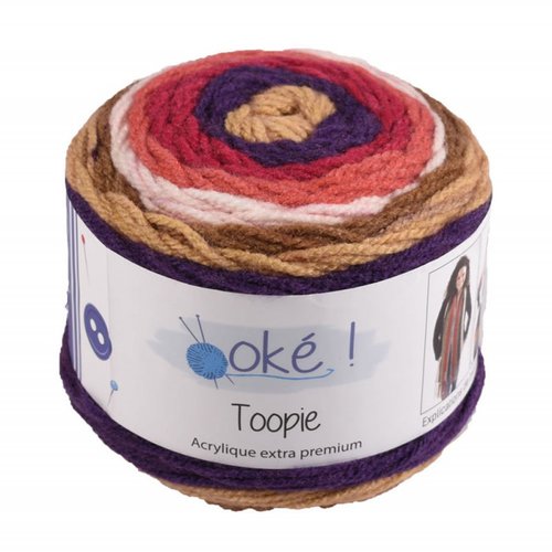 Pelote a tricoter toopie oke coloris multicolore