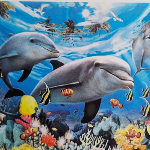 Broderie diamant les dauphins et le monde sous-marin