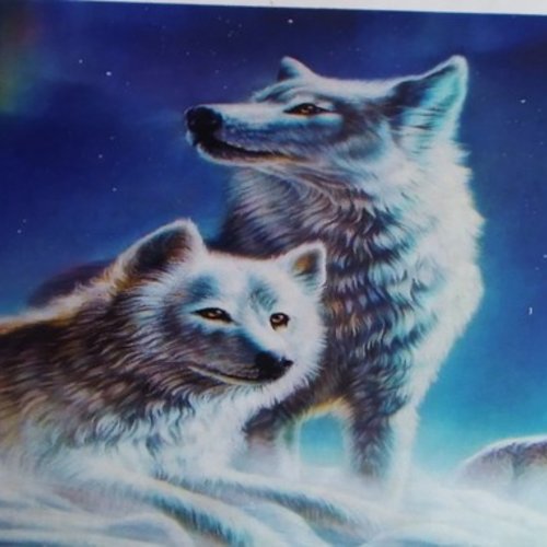 Broderie diamant couple de loups
