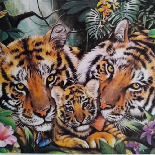 Broderie diamant couple de tigres et leur bebe