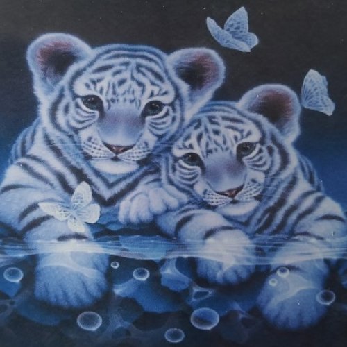 Broderie diamant couple de bebes tigres