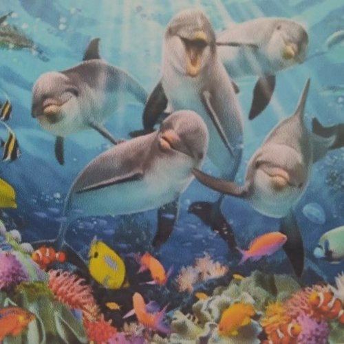 Broderie diamant le monde sous marin des dauphins