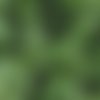 Racine d'ortie séchées,les herbes,épices,produits de mon jardin,racine d'ortie