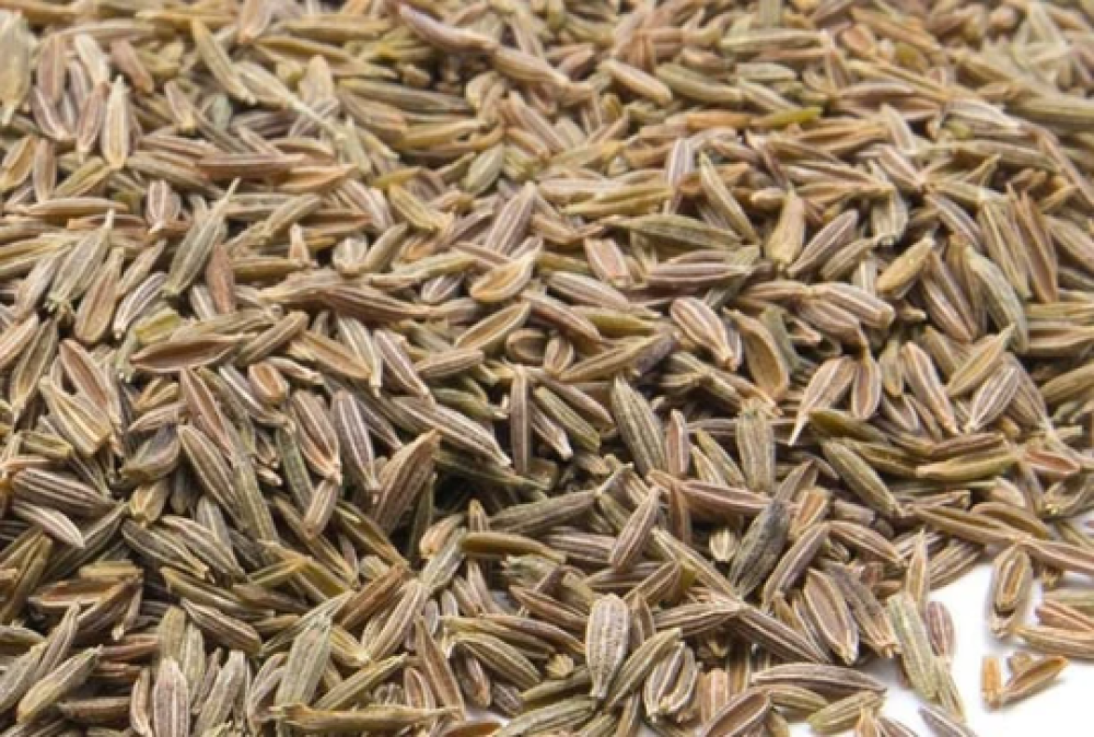 CUMIN Graines ( Maghreb ) –