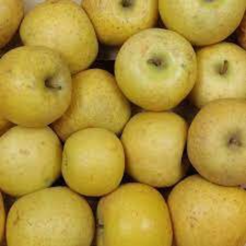 Pommes chanteclerc,graines de pommes chanteclerc,produits de mon jardin,fruits bio,non traité