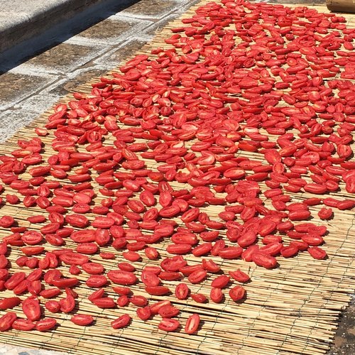 Tomates séchées,tomates séchées au soleil,du sud de l'italie,tomates salées,