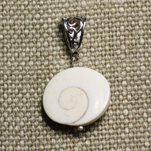 Collier pendentif coquillage - oeil de shiva sainte lucie ovale 23mm