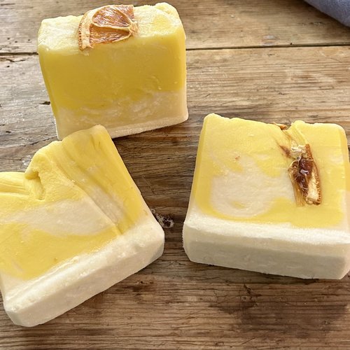 Savon citrus fruit