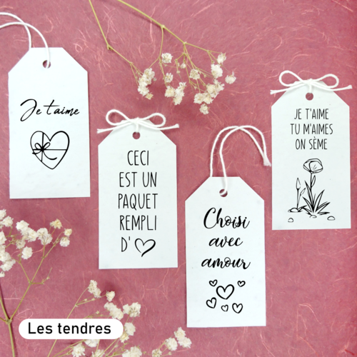 Etiquettes cadeaux animaux de Noël à planter papier ensemencé éco