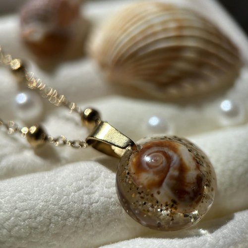 Collier doré en acier inoxydable - coquillages véritables