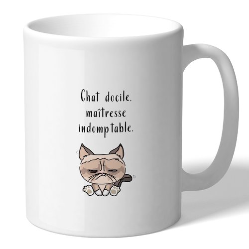 Mug - humour animal ! - chat docile...