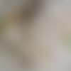 Doudou personnalisable étiquettes carré froufrou plumes et minkee beige