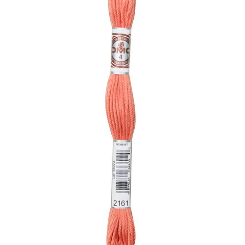 Echeveau retors mat dmc fil canevas col 2161