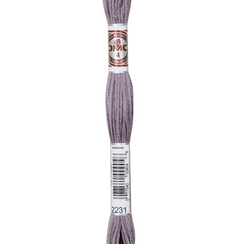 Echeveau retors mat dmc fil canevas col 2231