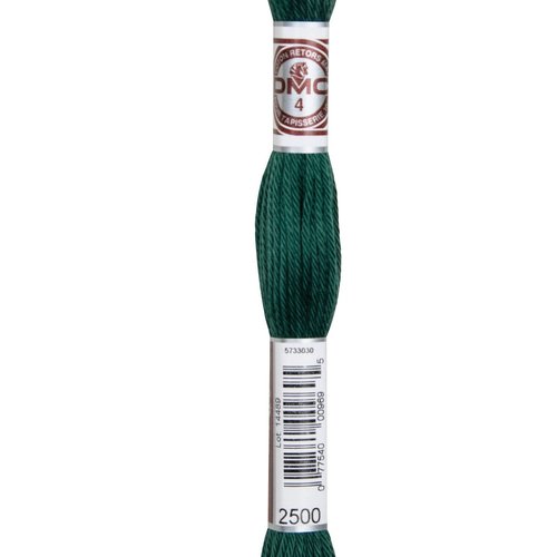 Echeveau retors mat dmc fil canevas col 2500