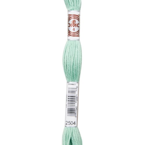 Echeveau retors mat dmc fil canevas col 2504