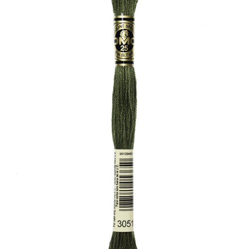 Mouliné dmc 3051