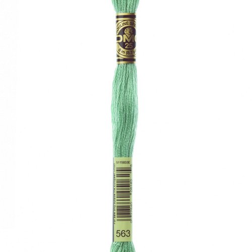 Mouliné dmc 563