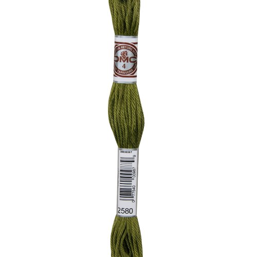 Echeveau retors mat dmc fil canevas col 2580