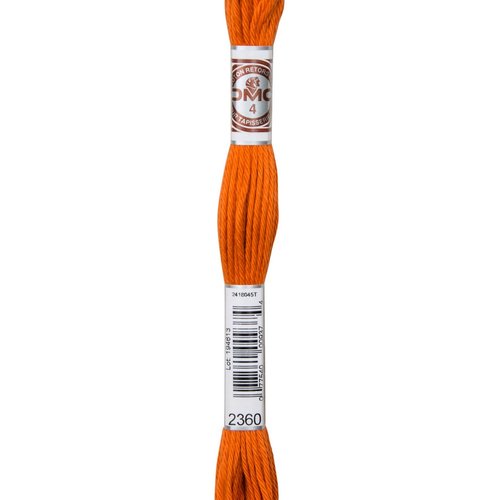 Echeveau retors mat dmc fil canevas col 2360