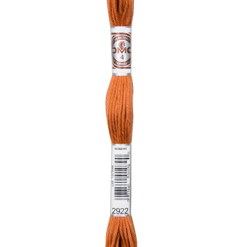 Echeveau retors mat dmc fil canevas col 2922